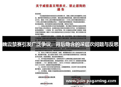 魏震禁赛引发广泛争议,背后隐含的深层次问题与反思