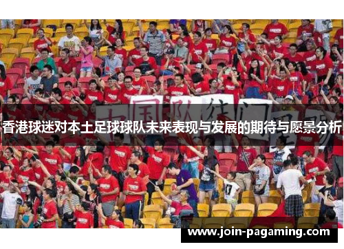 香港球迷对本土足球球队未来表现与发展的期待与愿景分析